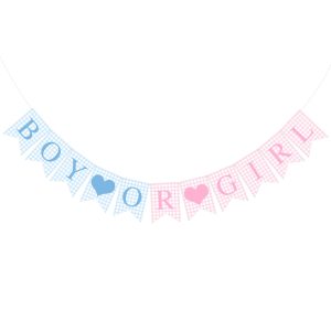 Hahafelt Boy or Girl Banner for Baby Shower Decorations, Blue Pink
