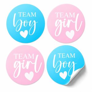 Pink or Blue Gender Reveal Party Stickers, 100 Count Team Boy or Team Girl Voting Stickers, Boy or Girl Gender Reveal Game, 50 Blue and 50 Pink