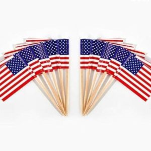 CYPS 100 Pcs USA American Flag US Toothpick Flags, Small Mini Stick Cupcake Toppers US Flags,4th of July,Veterans Day,Country Picks Party Decoration Celebration Cocktail Food Bar Cake Flags