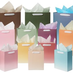 12 Pack Gift Bags Assorted Sizes and Designs, Gift Bags Bulk with Tissue Paper (5 Medium 8", 4 Large 11", 3 Extra Large 14") for Birthday, Baby Showers, Bridal Showers, Easter Day Any Occasion(solid gradient)