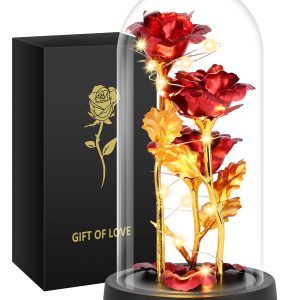 Tayfeim Mothers Day Mom Gifts for Women, Womens Gift for Birthday Gifts for Women Mom Wife Girlfriend, Light Up Rose in A Glass Dome, Rose Gifts for Valentines, Mothers Day, Womens Day (Red)