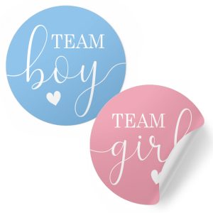 Pink or Blue Gender Reveal Stickers, 40 Count