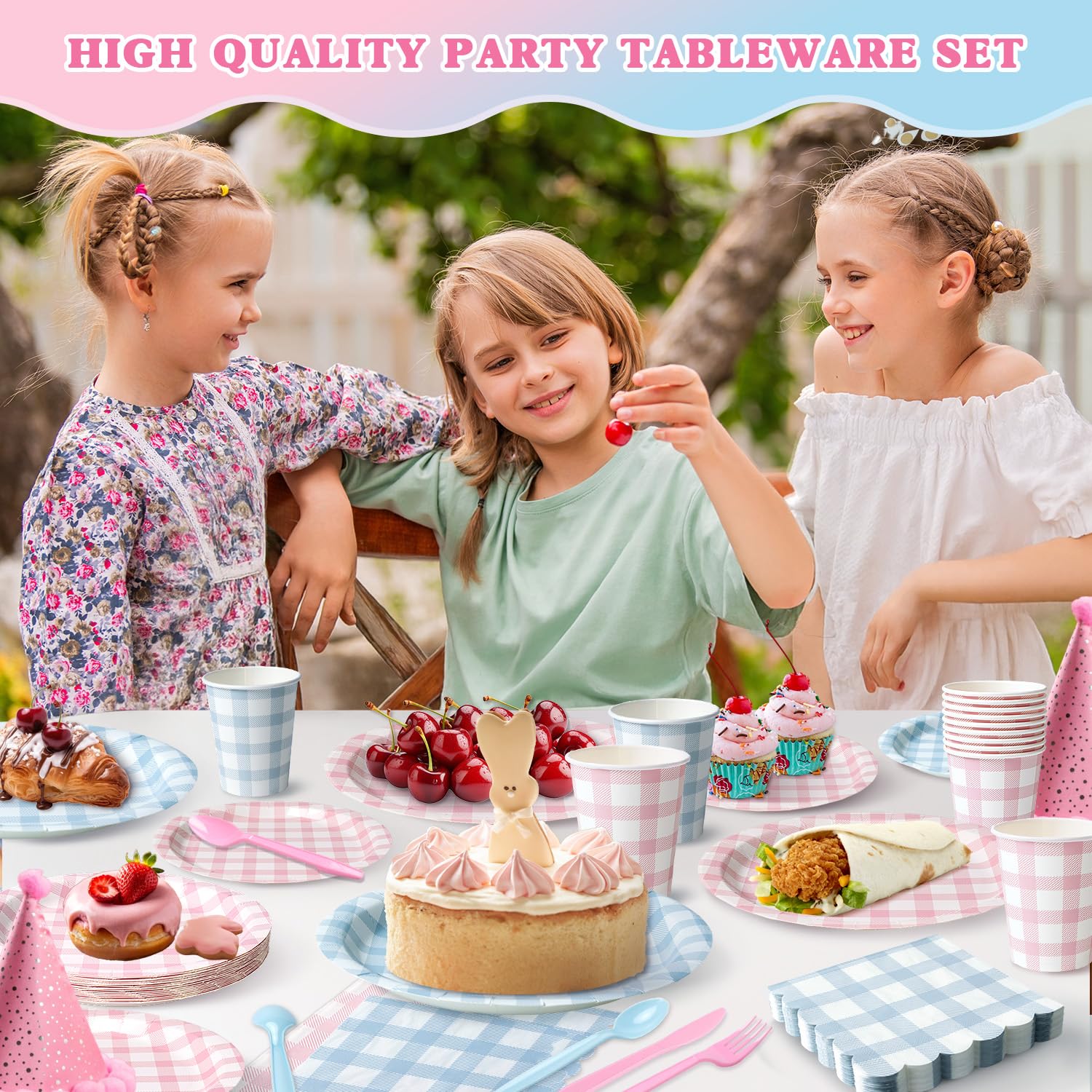 Vyntra 350-Pc Pink and Blue Gingham Paper Plates and Napkins Party Supplies
