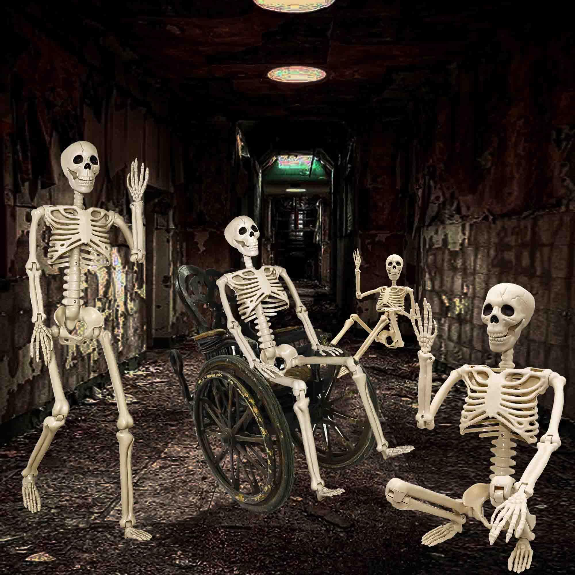 2 Pack 36"Halloween Skeleton - 3 ft Life Size Human Skeleton with Full Body Posable Joints Plastic Skeleton for Halloween Skeletons Decor Yard Patio Lawn Garden Skeleton Props Spooky Party Decoration